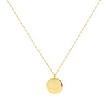 Olivia Plate Necklace_