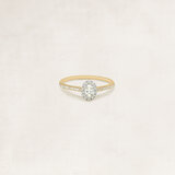 Ovaal halo ring met zijdiamanten - OR61820_