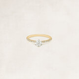 Brilliant cut solitaire ring with side diamonds - OR69420_