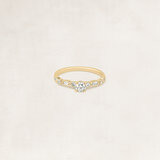 Brilliant cut solitaire ring with side diamonds - OR70415_