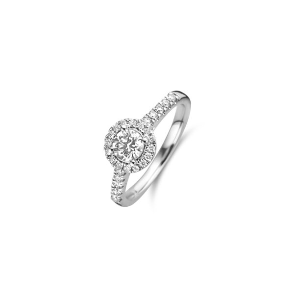 Briljant geslepen solitaire halo ring met zijdiamanten